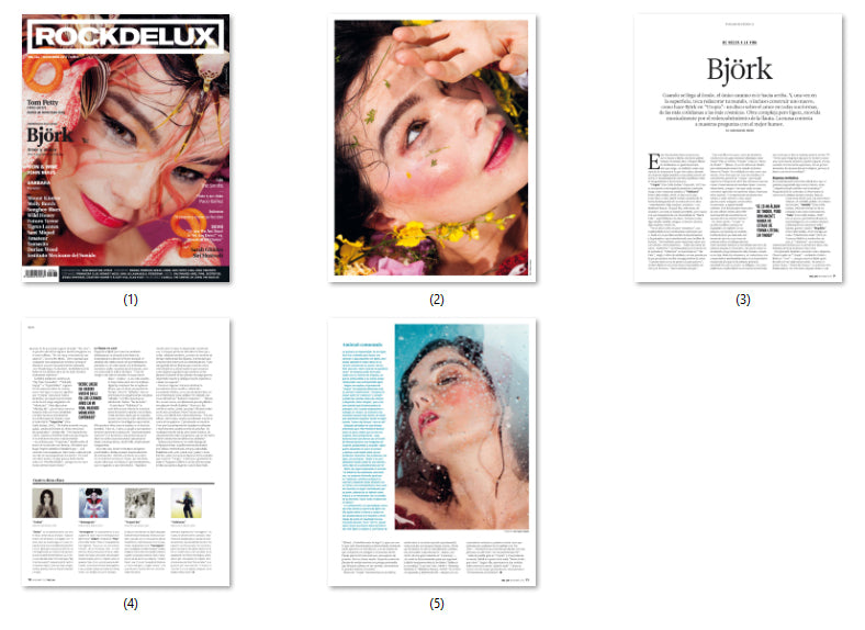 Bjork, ENG magazine, Cover, DIGITAL LISTING, Instant Download