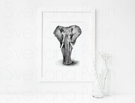 Elephant, ART PRINT Signed by Artist