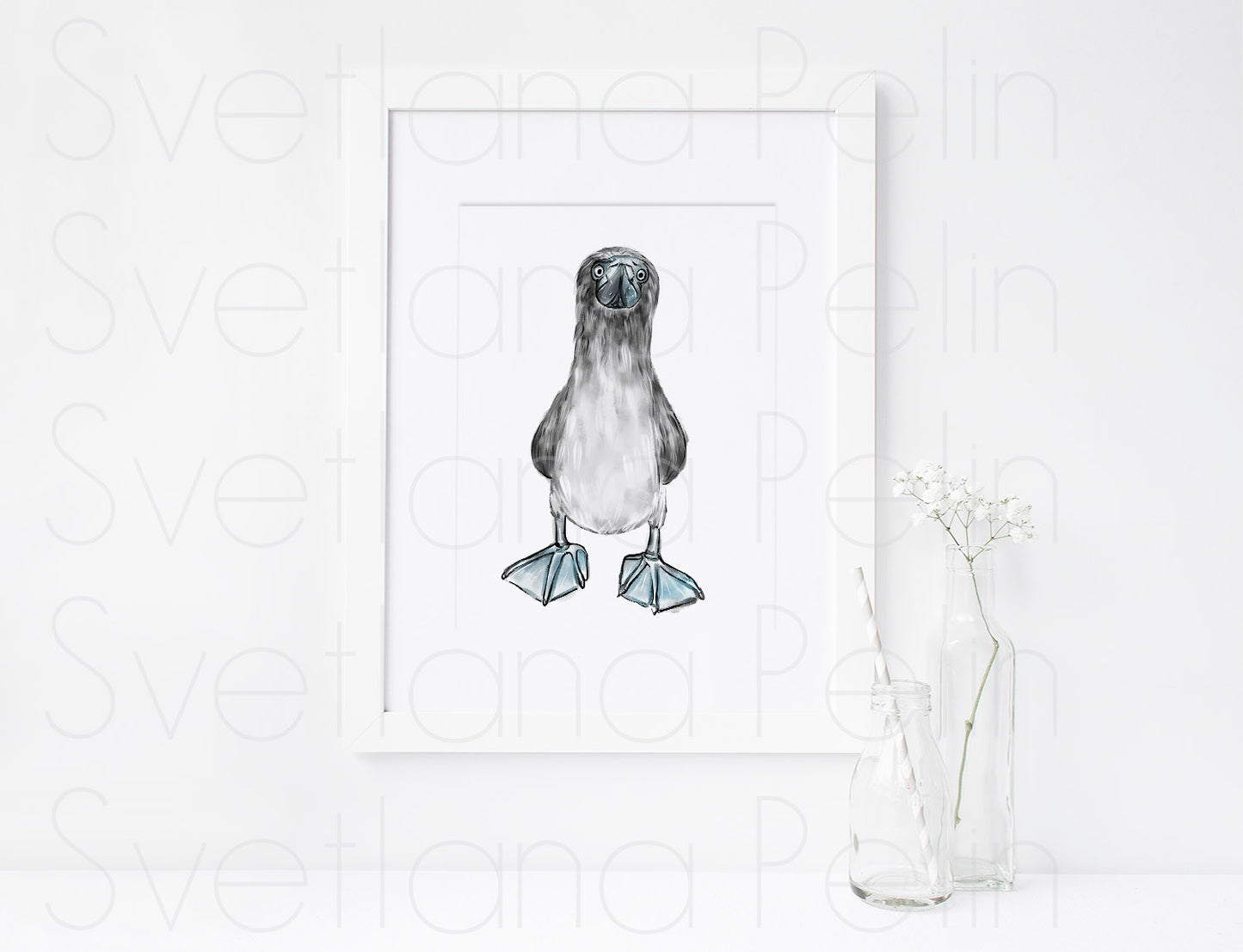 Blue-footed booby, ART PRINT Signed by Artist