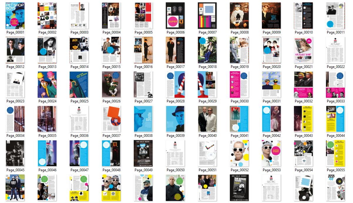 Pet Shop, ENG magazine, Cover, DIGITAL LISTING, Instant Download