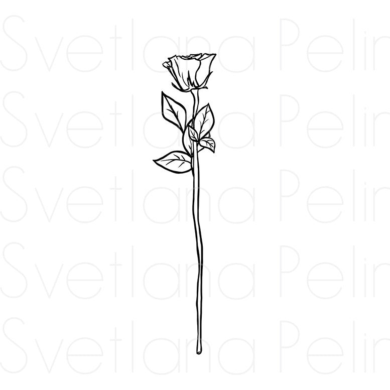 Rose, Flower, Coloring Page, Printable Digital Files, INSTANT Download