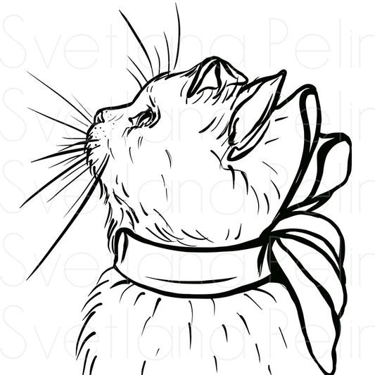 Kitty, Cat, Animal, Coloring Page, Printable Digital Files, INSTANT Download