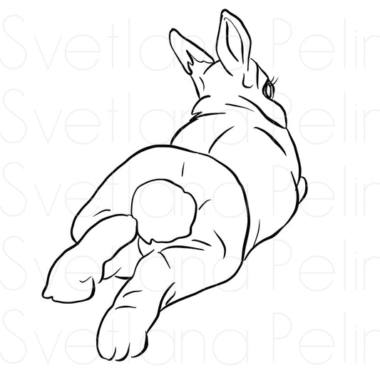 Bunny, Rabbit, Animal, Coloring Page, Printable Digital Files, INSTANT Download