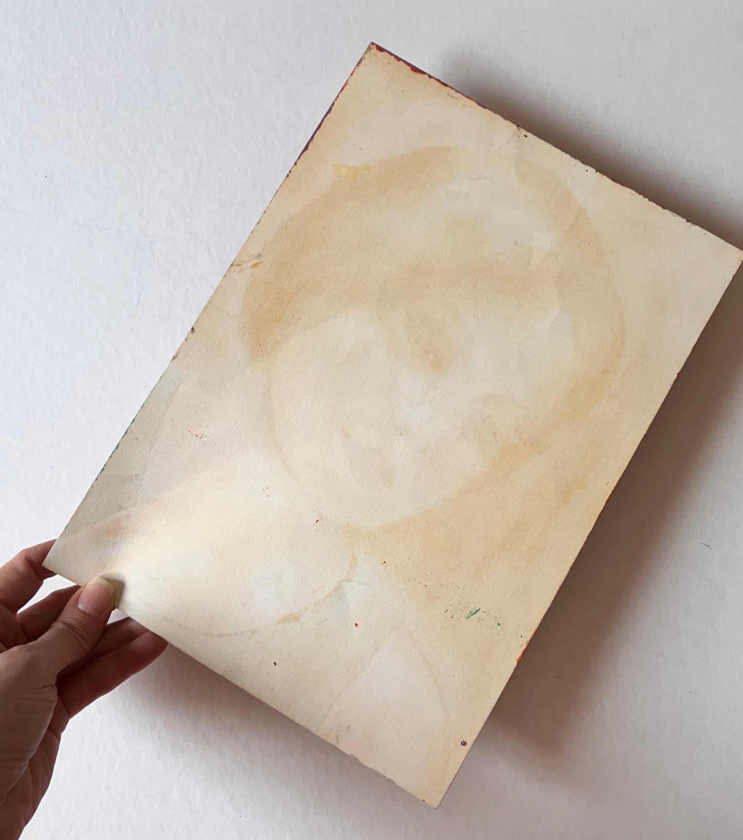 Catherine Deneuve, Donkey Skin, ORIGINAL Oil Painting, Artwork by Svetlana Pelin
