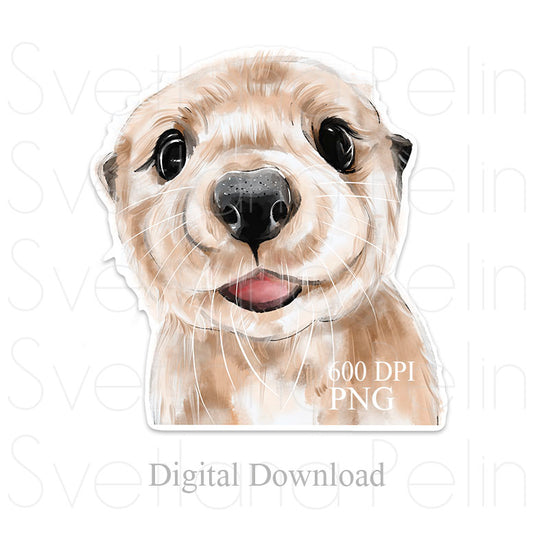 Otter, Cute animal, Digital STICKER, PNG, INSTANT Download