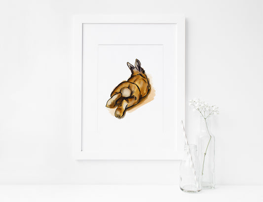 Bunny, Rabbit, Animal, Printable Art, INSTANT DOWNLOAD