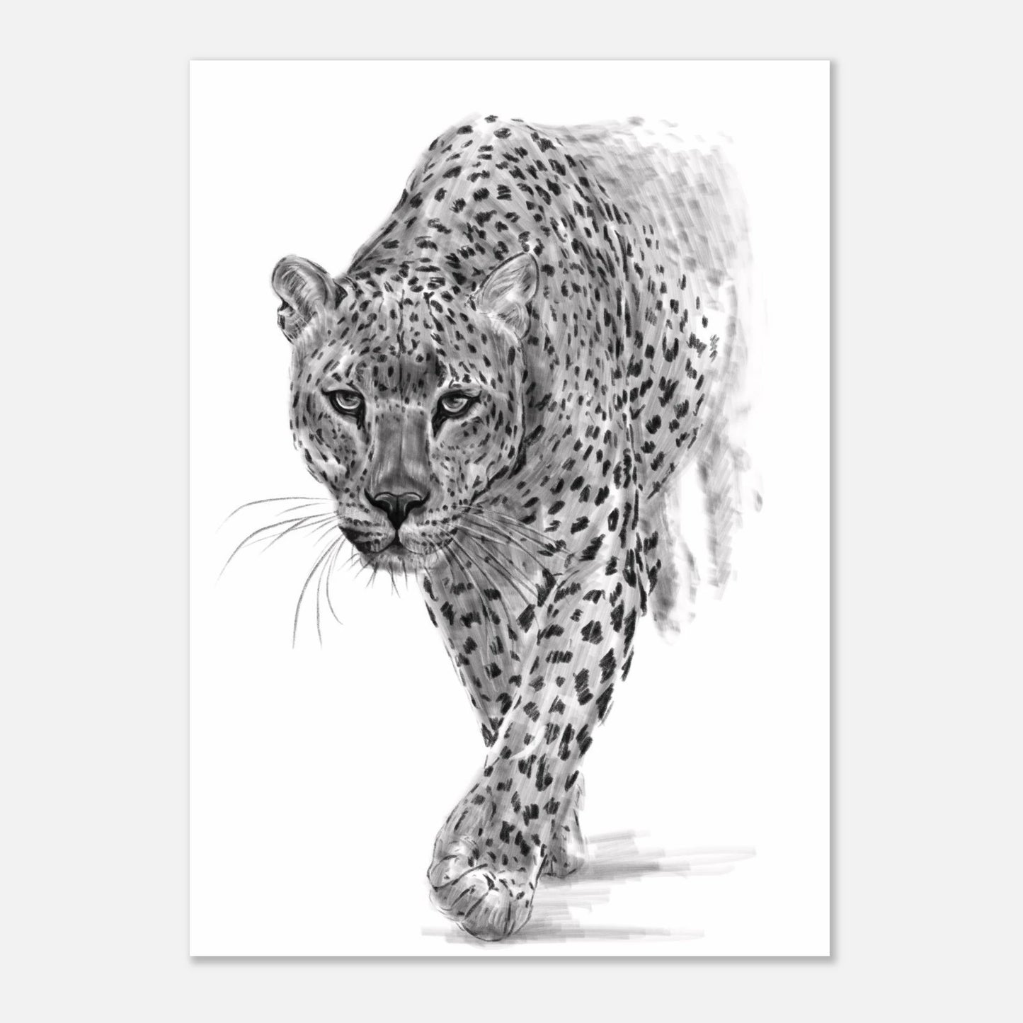 2790100d-c991-4a40-946a-73532c433960