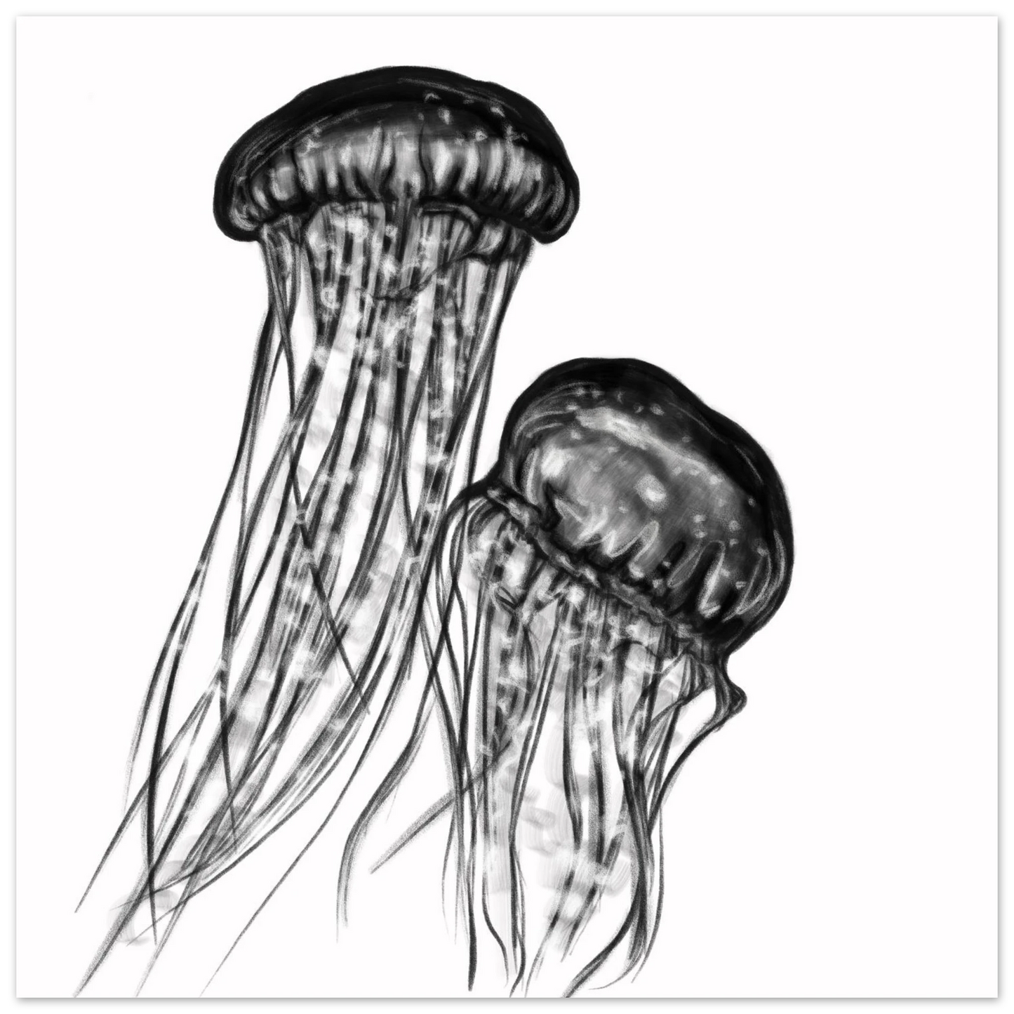 60bdd1f7-6a95-4b05-a67f-a23af99fb2ac