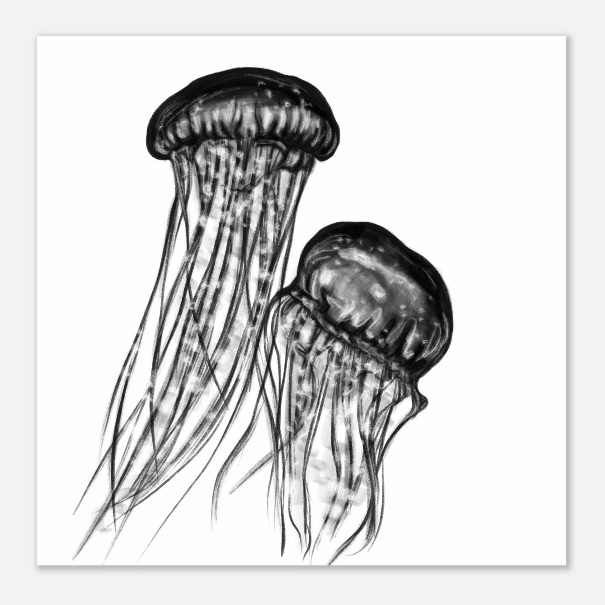 7caeafed-d5e2-4f37-8986-8ec29fd01086