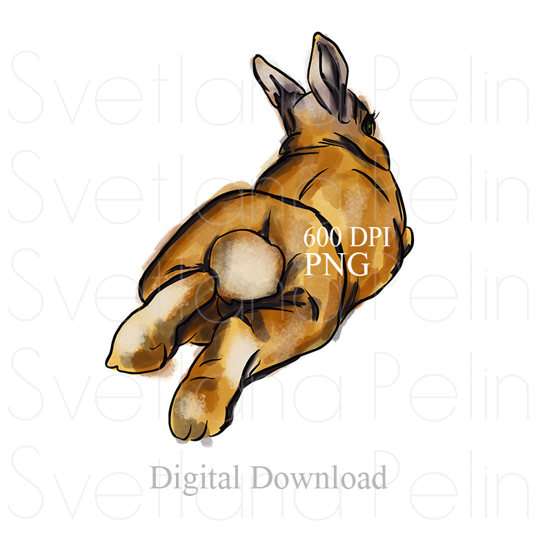 Bunny, Rabbit, Digital Sticker, PNG, INSTANT Download