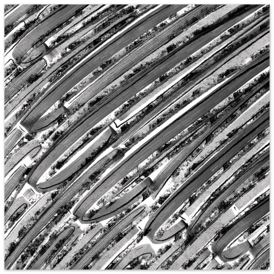 b3b04674-c05a-452d-b5a0-18893d8e29bf