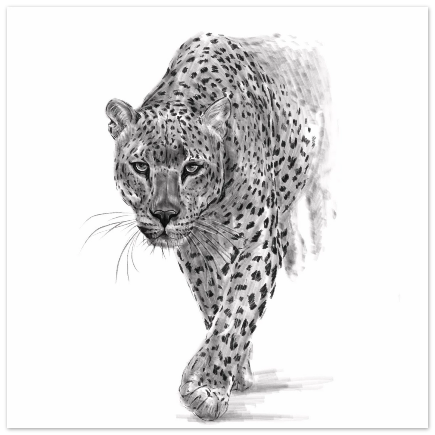 c1abafd8-af07-46f1-829b-75a8e8308af6