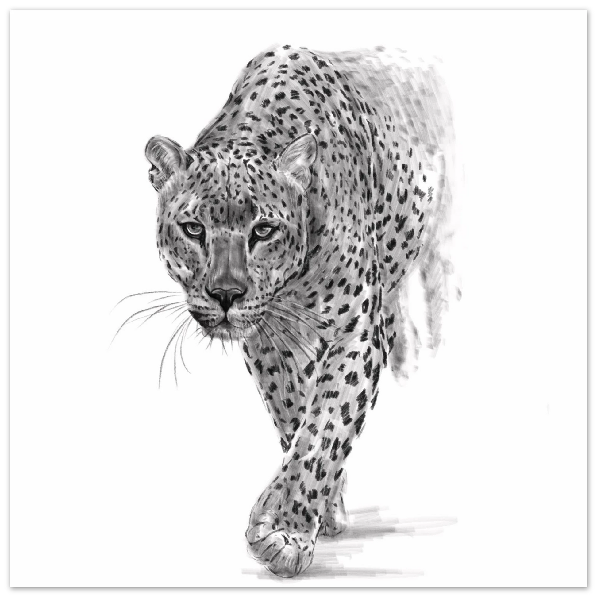 c1abafd8-af07-46f1-829b-75a8e8308af6