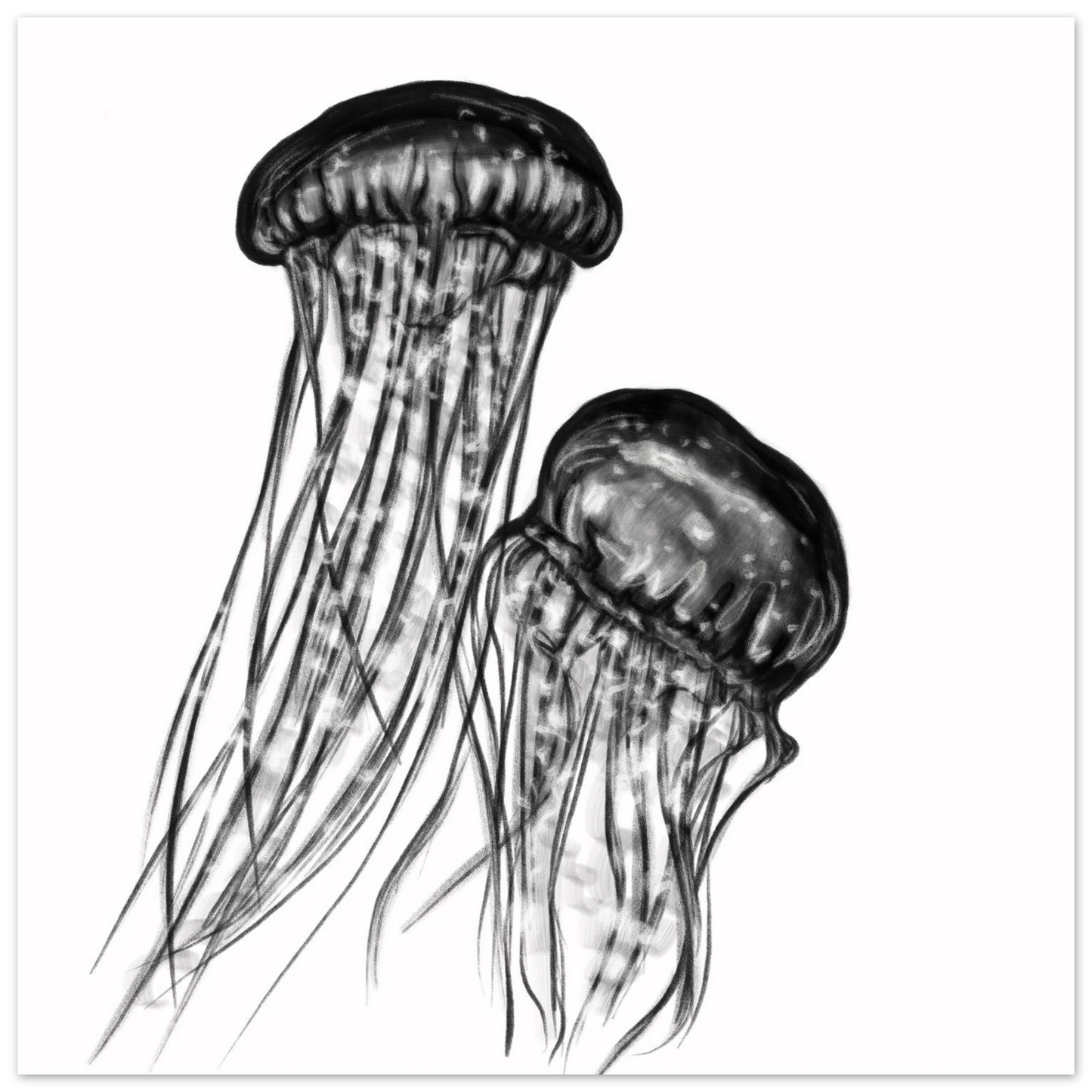 c3309eca-015c-4c87-b44d-20e3434246cd