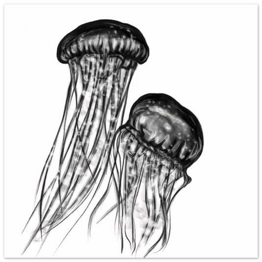 c3309eca-015c-4c87-b44d-20e3434246cd